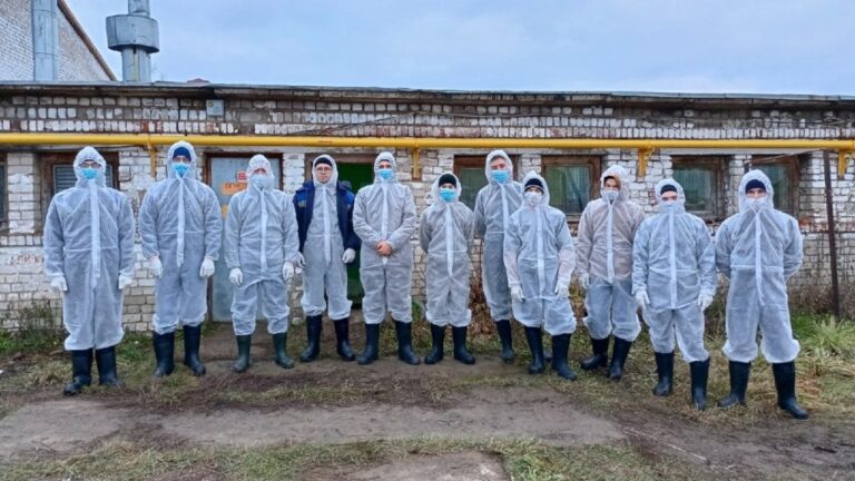 Курсанты центра «Витязь» и волонтеры Вятского ГАТУ получили награды от Министерства сельского хозяйства и продовольствия и Управления ветеринарии Кировской области.