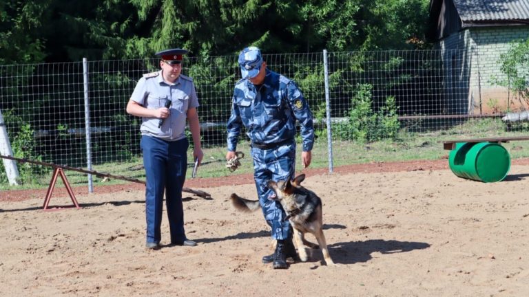 В Вятском ГАТУ состоялось открытие учебно-спортивной кинологической площадки