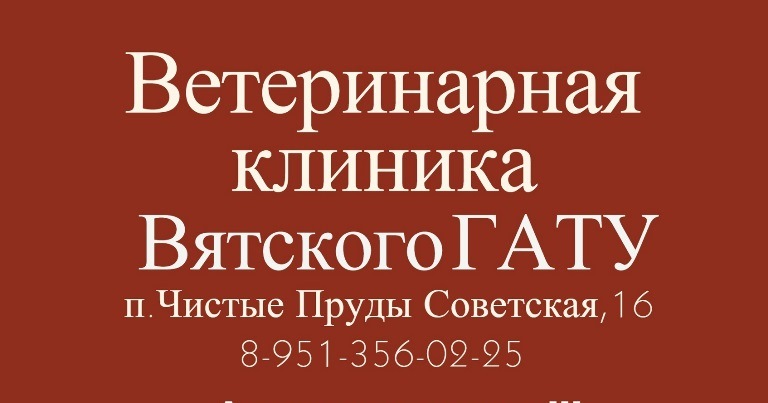 Акция месяца в Ветеринарной клинике Вятского ГАТУ