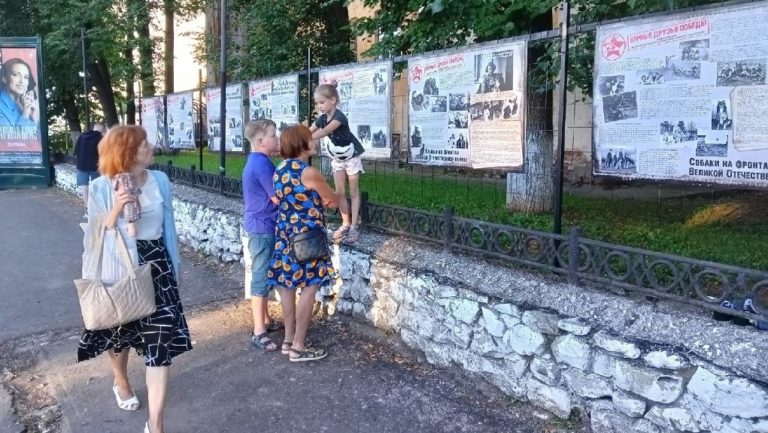 Патриотическая выставка «Верные друзья Победы» Вятского ГАТУ ждет горожан