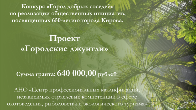 Проект «Городские джунгли»