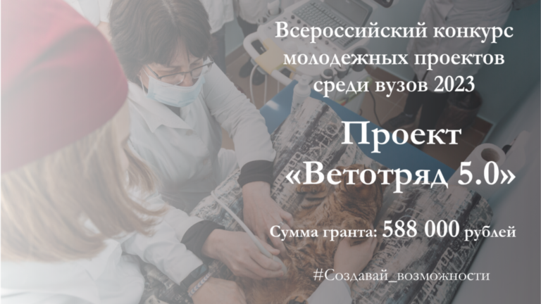Вятский ГАТУ — победитель Всероссийского конкурса молодежных проектов среди вузов в 2023 году