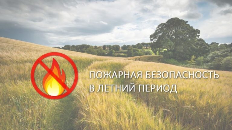 Вятская ТПП и ГУ МЧС запустили серию роликов о пожарной безопасности