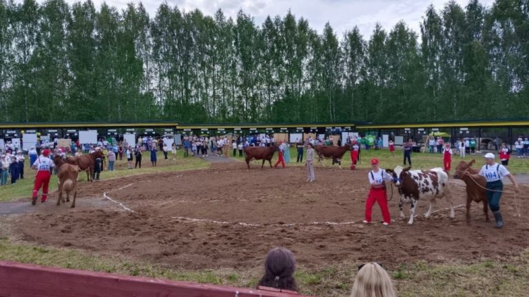 Преподаватели Вятского ГАТУ приняли участие в XXIII Кировской областной выставке племенных сельскохозяйственных животных